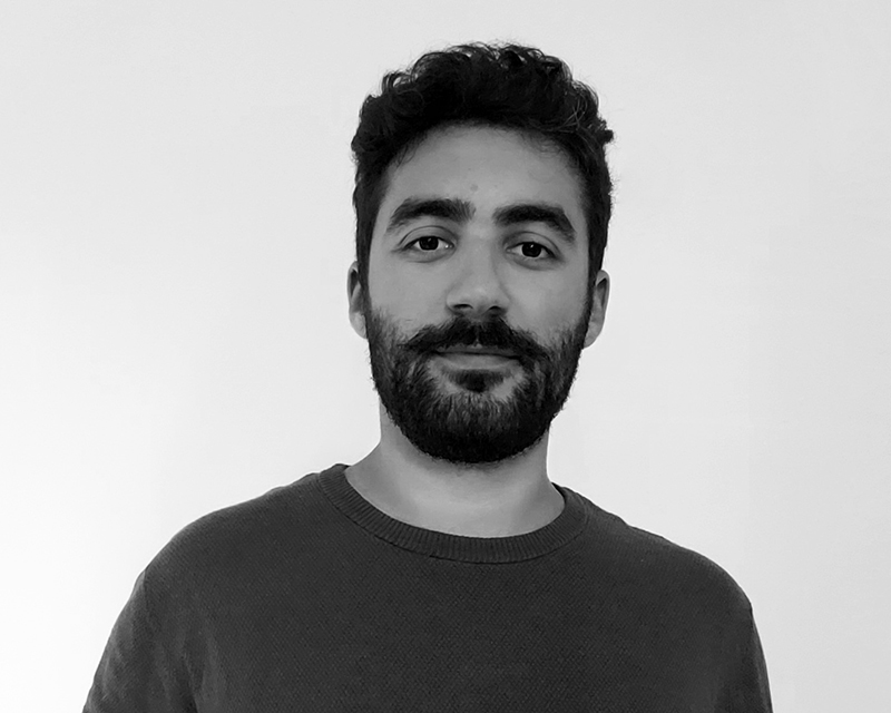 Image of Guram Niauri