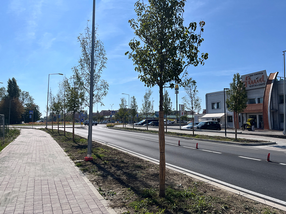 An image from MICHUB